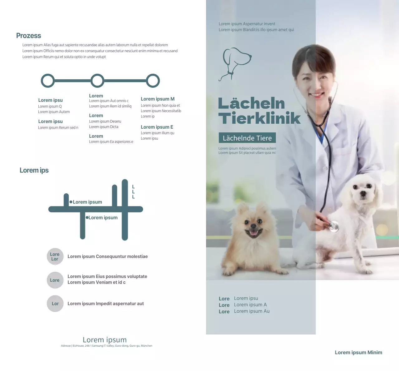 Türkisfarbene Tierklinik Stundenplan Konzept