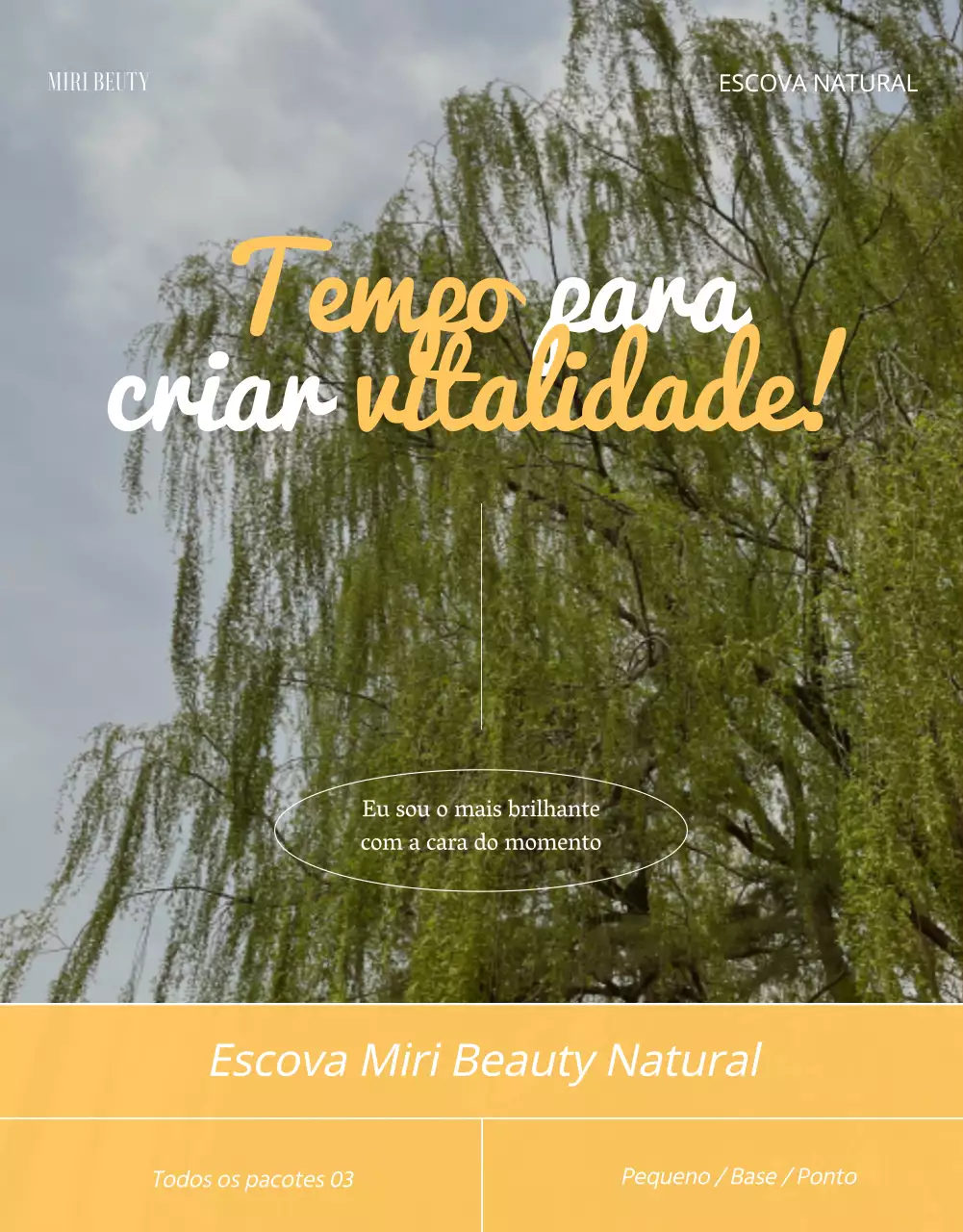 Apresentamos o pincel Yellow Point Colour Emotional Brush