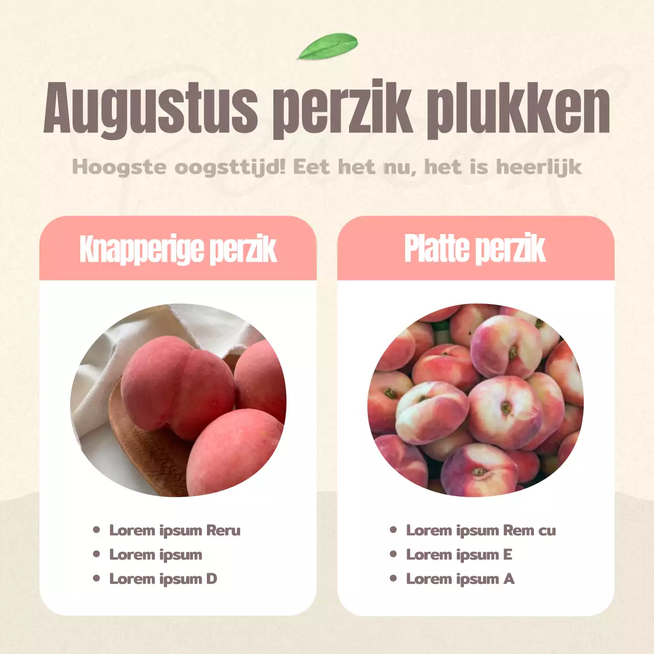 Hoe je mooi fruit in roze en beige perziken bewaart