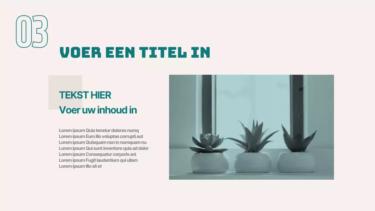 Presentatie voor zakelijke rapporten