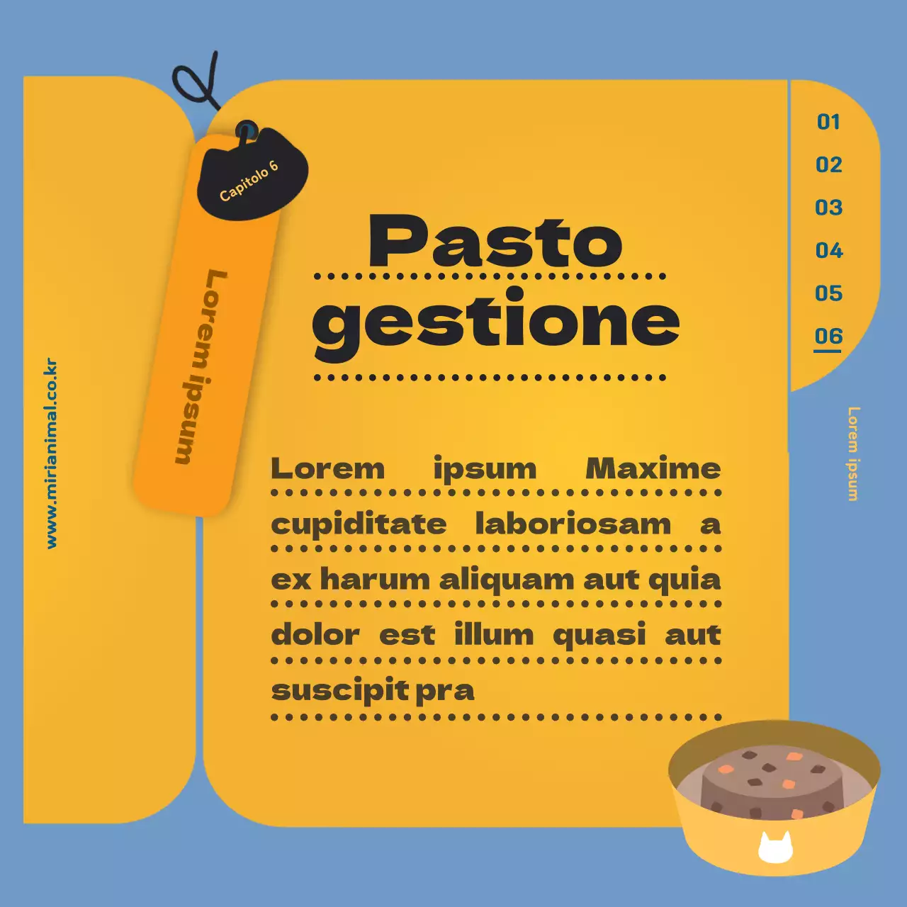 Le informazioni sanitarie del gatto, evidenziate dalla scheda sanitaria gialla.