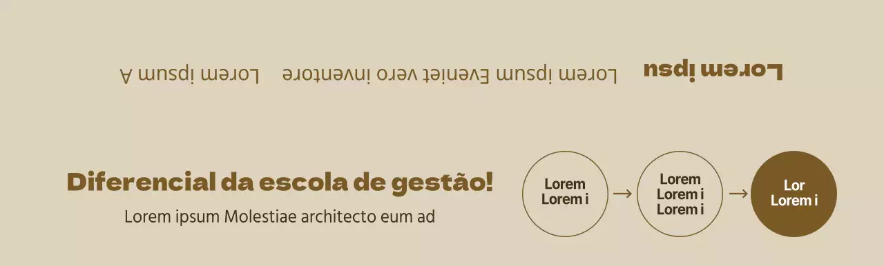 Informações sobre as escolas especializadas em exames de admissão à universidade de cor castanha