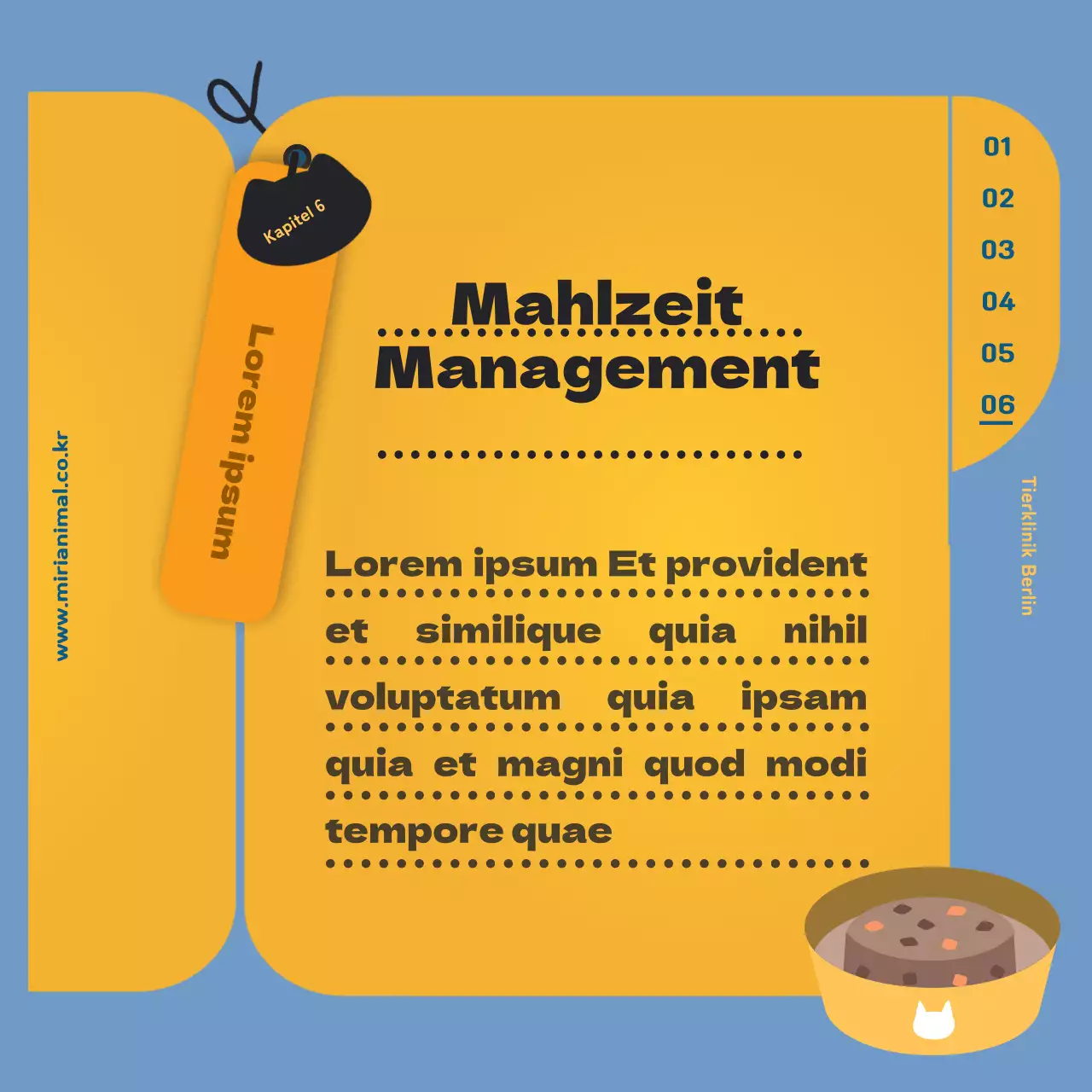 Die Gesundheitsinformationen Ihrer Katze, hervorgehoben durch den gelben Gesundheitsfragebogen.