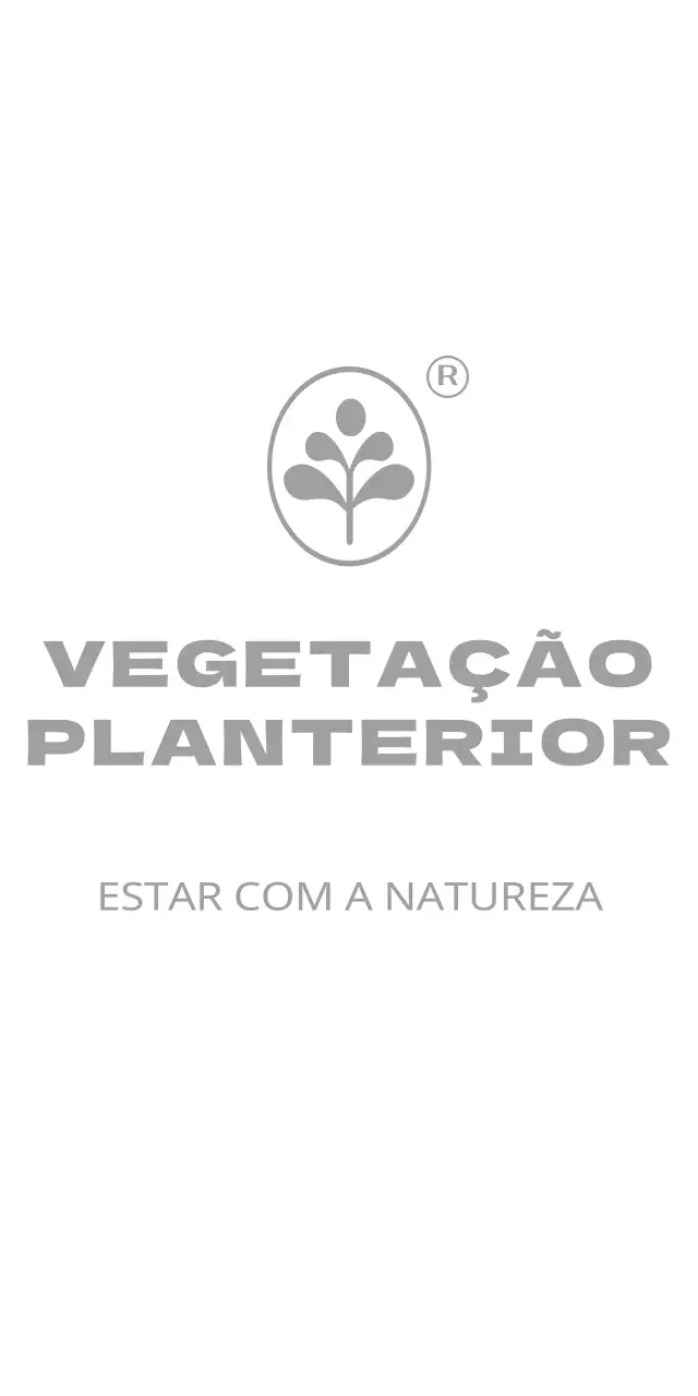 Vasos de plantas naturais e ecológicos com ilustrações de folhas de algodão
