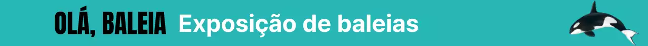 Uma exposição simples e moderna em branco e preto