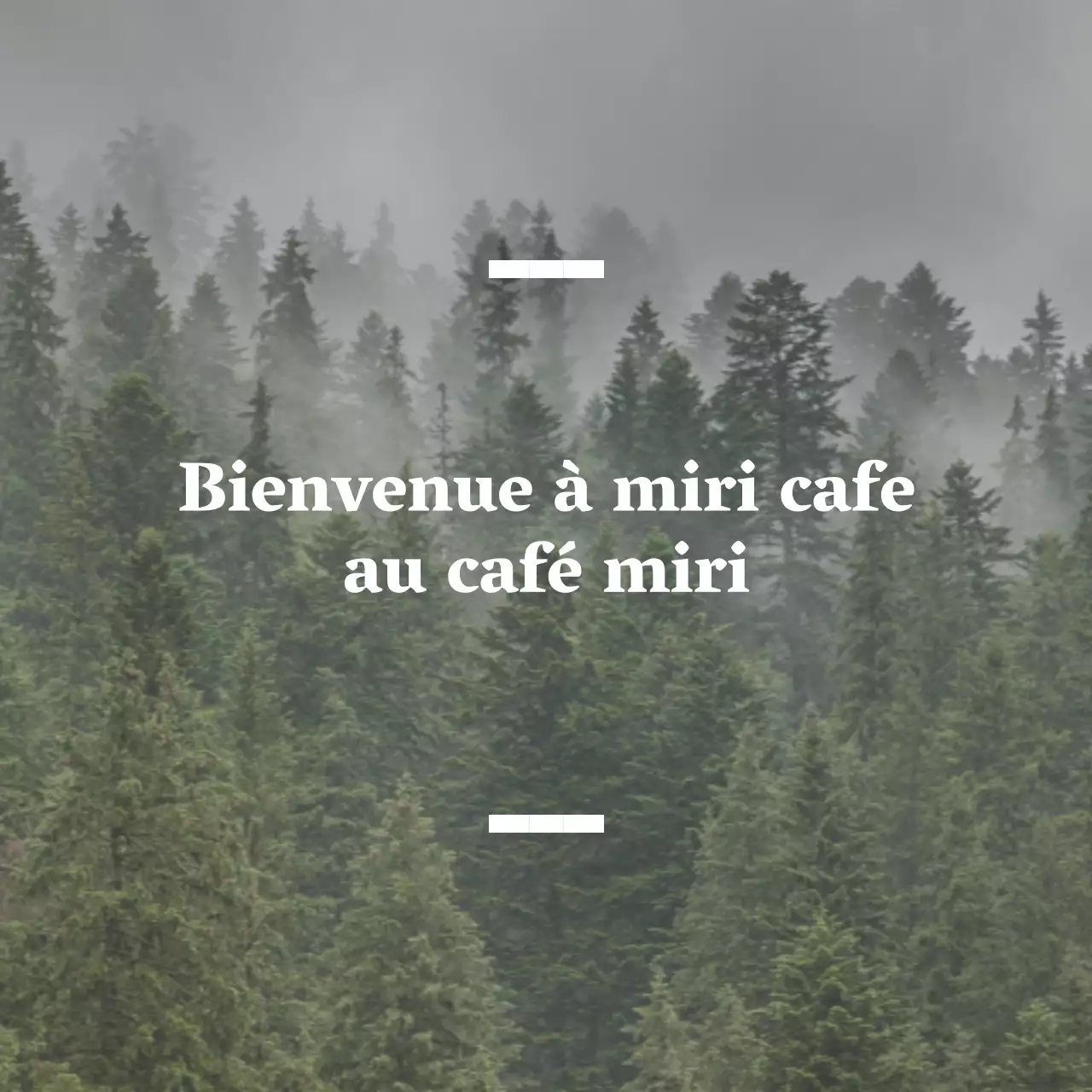 Café anglophone balsa avec affichage sentimental de photos de forêt