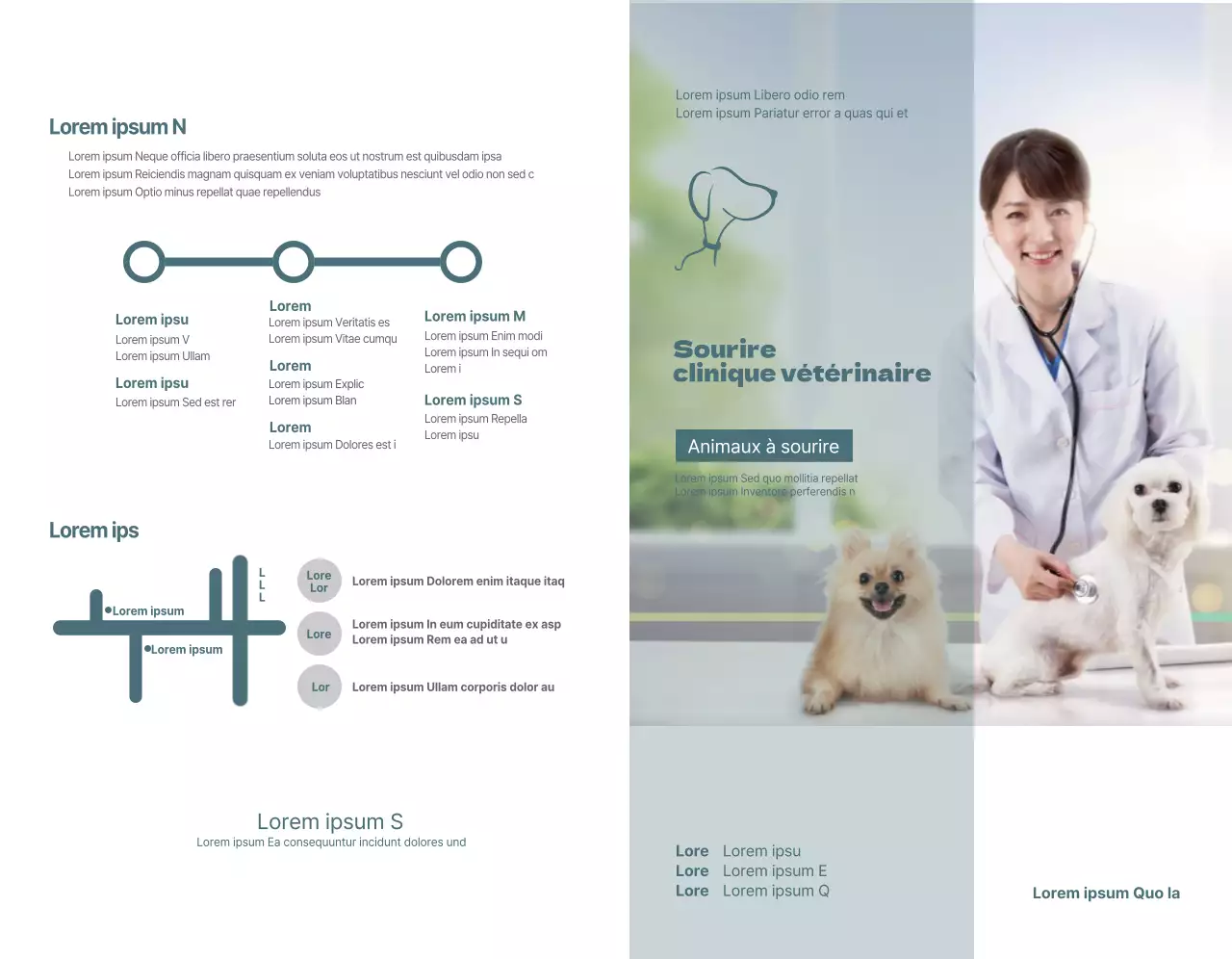 Concept d'horaire de clinique vétérinaire turquoise