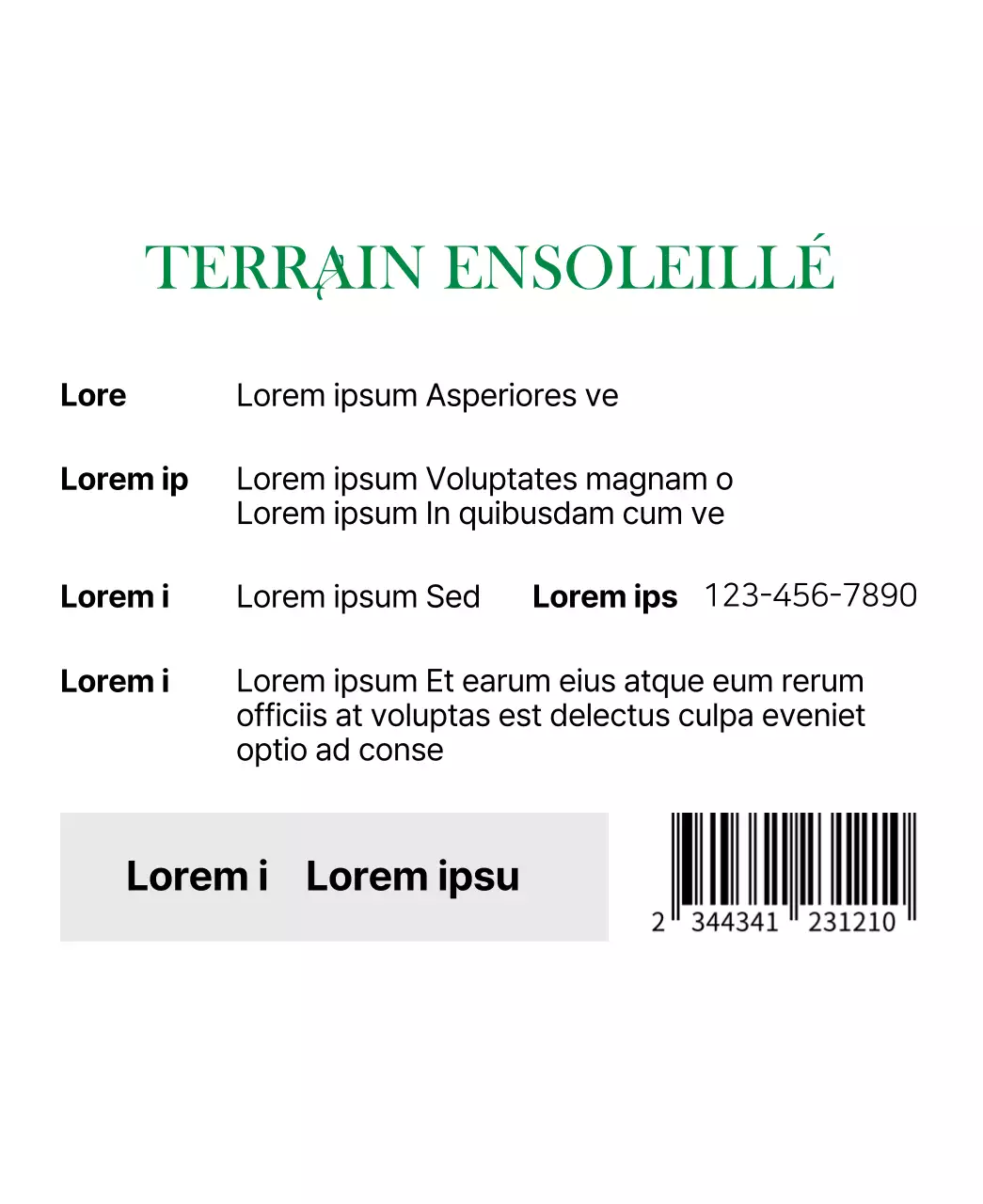 Sachets de thé luxueusement incurvés