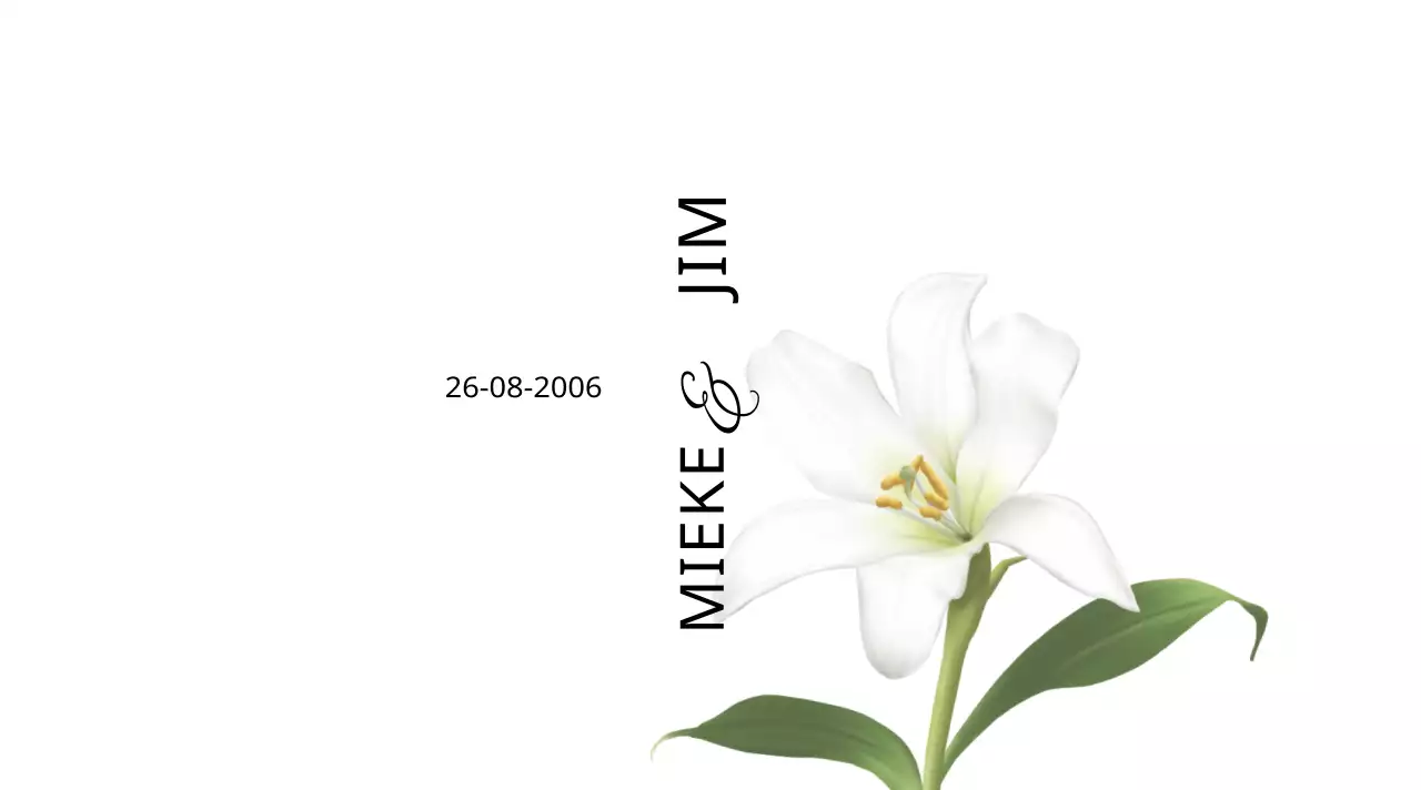 Eenvoudig en luxueus huwelijkswater in wit en zwart