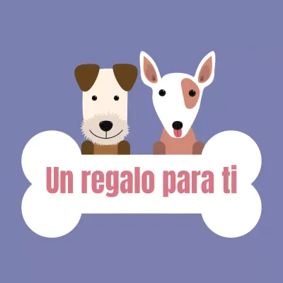 Pegatina BizDangSticker