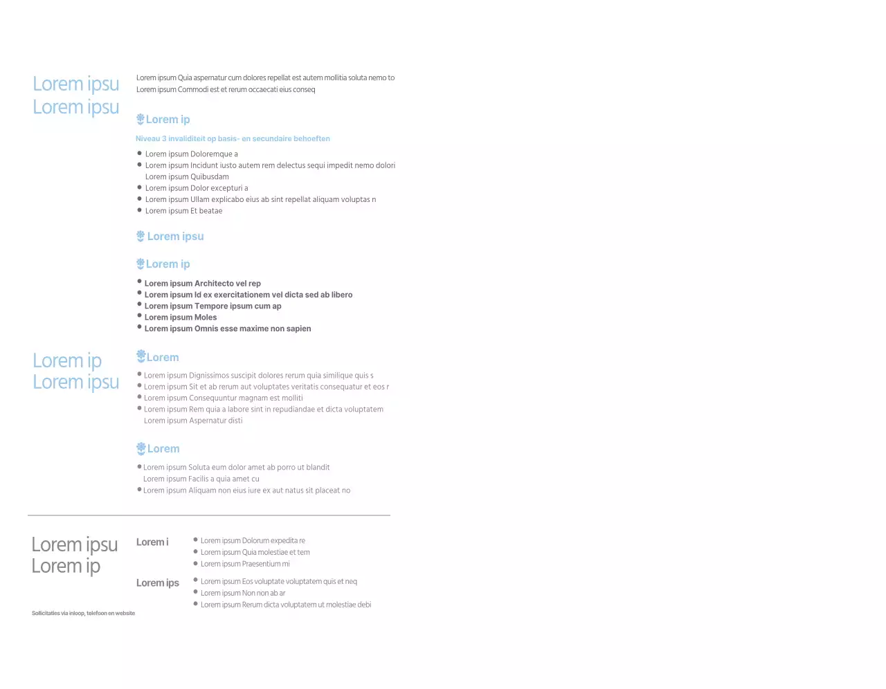 Over het programma van het Sky Blue Helper Business Welfare Centre