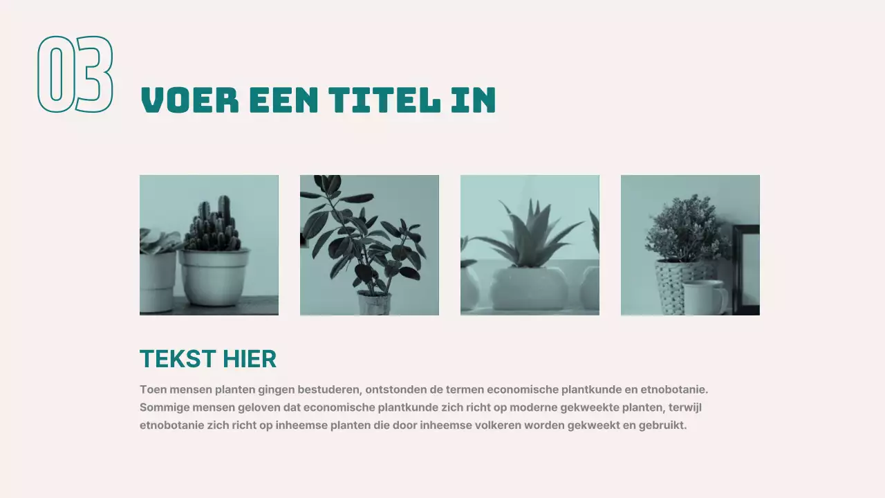 Presentatie voor zakelijke rapporten