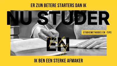 Studieminiatuur in geel-zwart tweekleurig