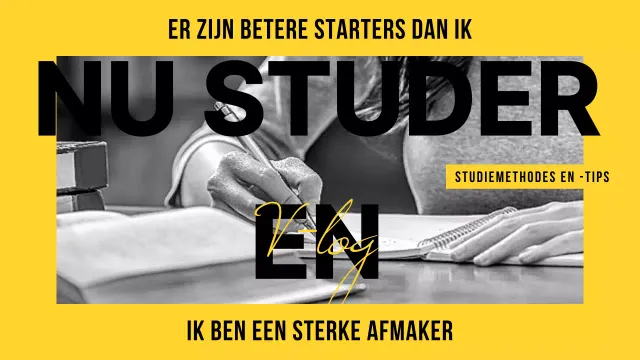 Studieminiatuur in geel-zwart tweekleurig