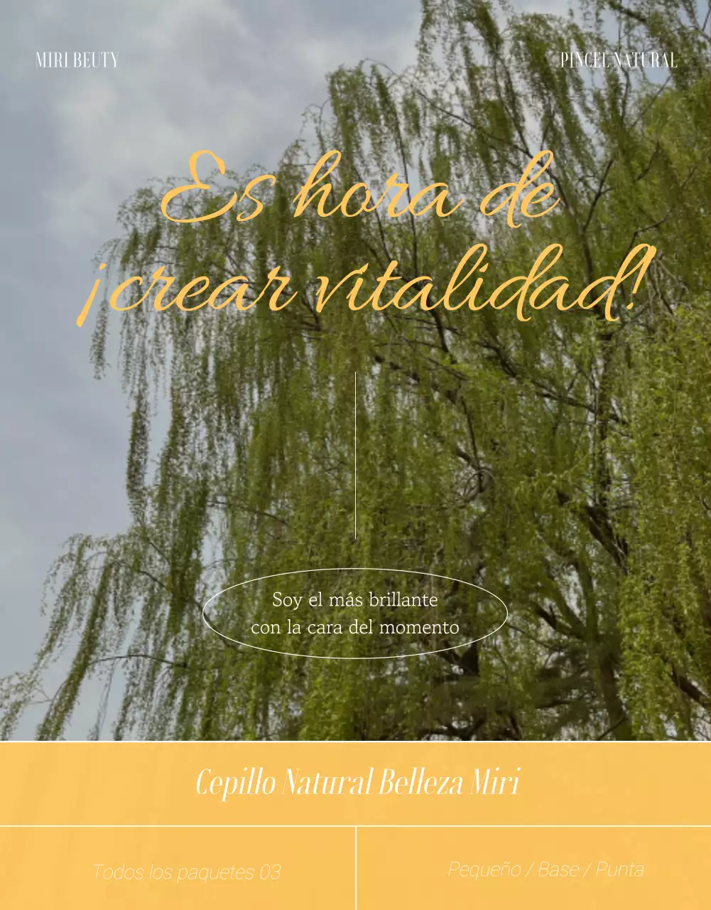 Presentación del pincel emocional de color Yellow Point