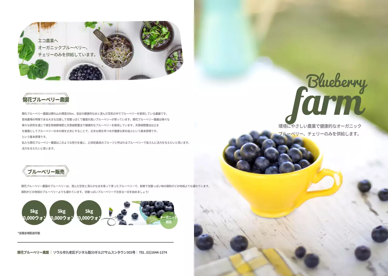 ブルーベリー農園