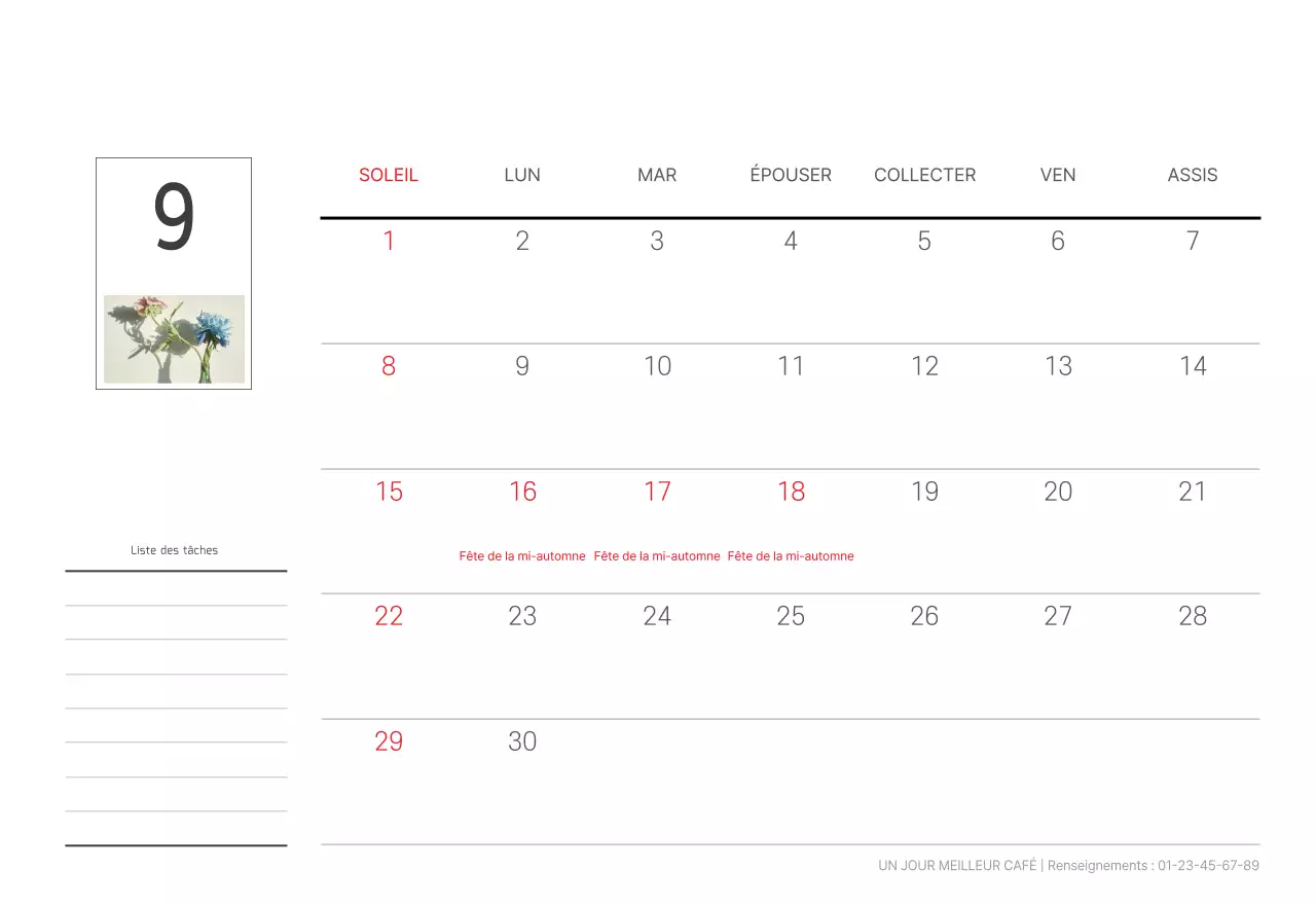 Nature botanique blanche et propre