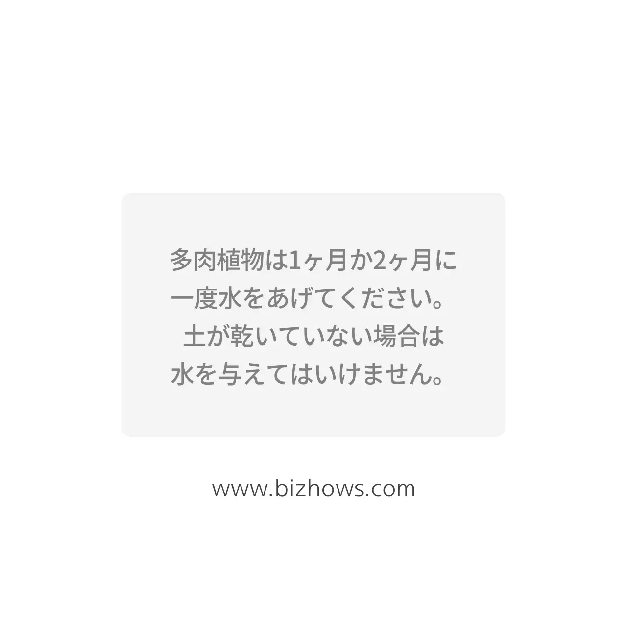 輸入多肉＆サボテン専門店ハングタグ