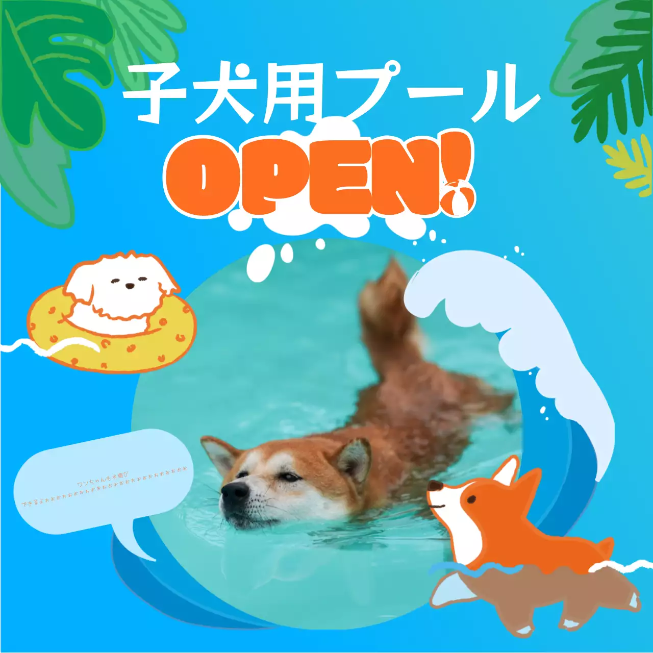 青 かわいい ペット お知らせ SNS投稿 正方形