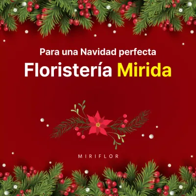 Cuadrado de Navidad Floristería Corona Roja