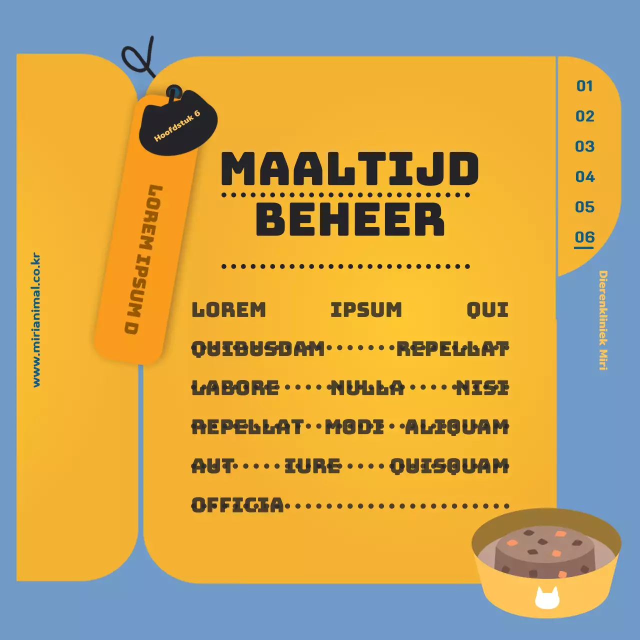 De gezondheidsinformatie van je kat, gemarkeerd door het gele gezondheidsinformatieblad.