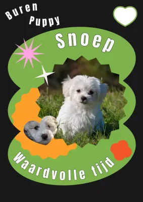 Schattige cover met een puppy