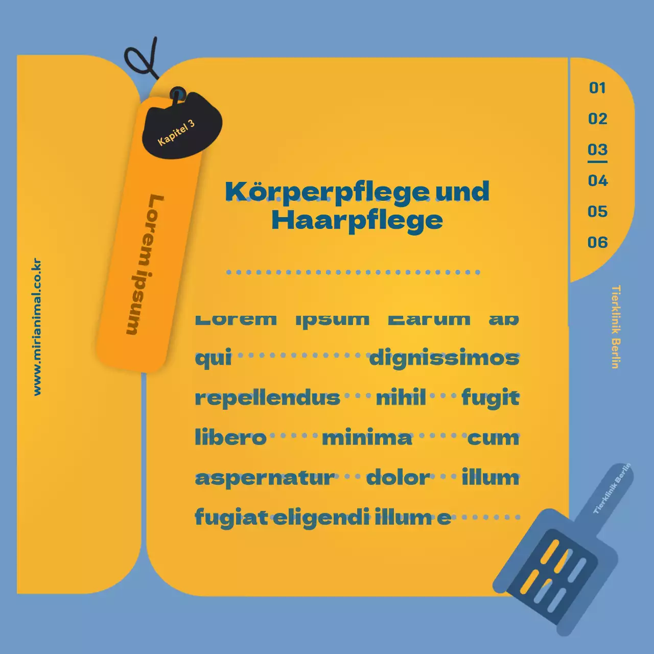 Die Gesundheitsinformationen Ihrer Katze, hervorgehoben durch den gelben Gesundheitsfragebogen.