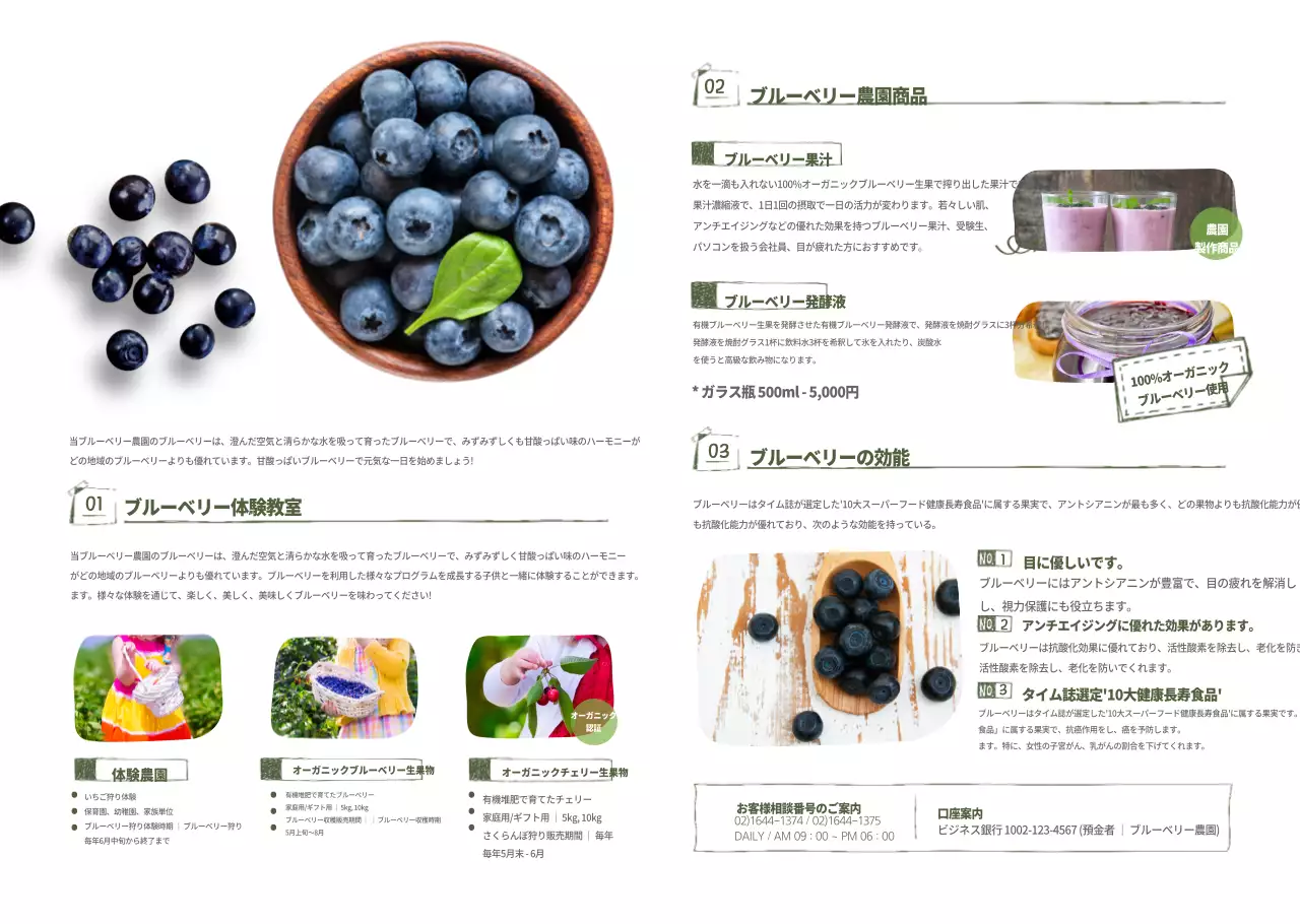 ブルーベリー農園