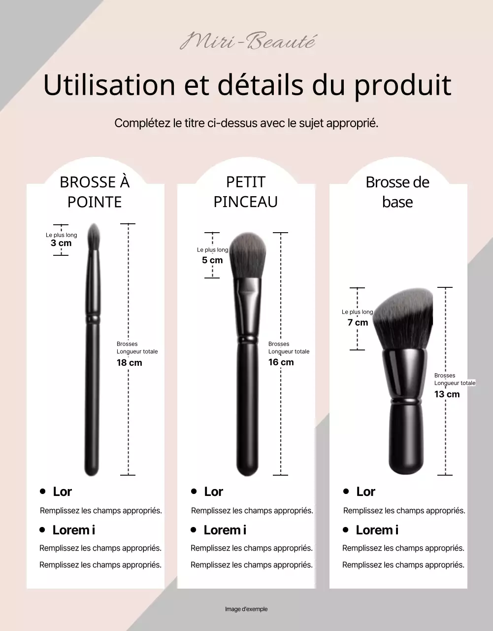 Promouvoir des brosses luxueuses en noir et beige