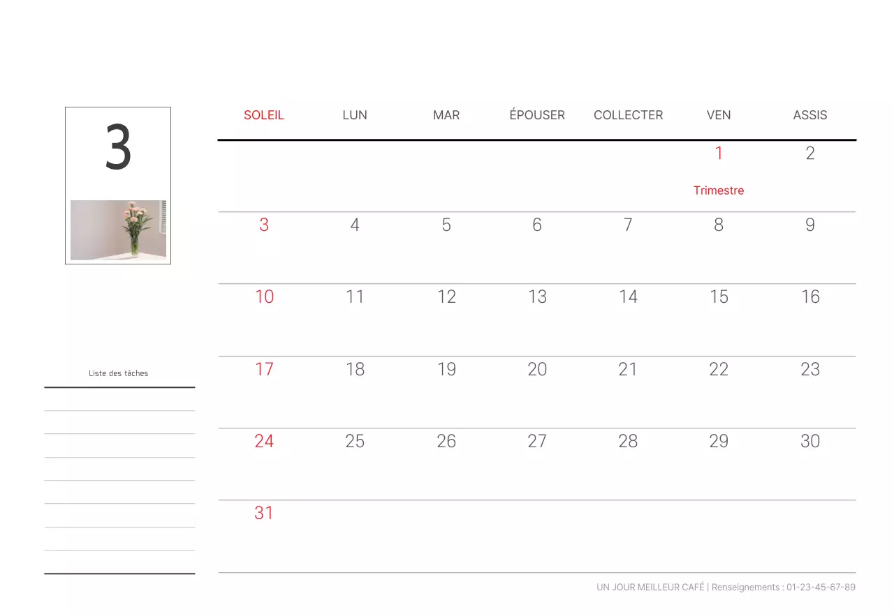 Nature botanique blanche et propre