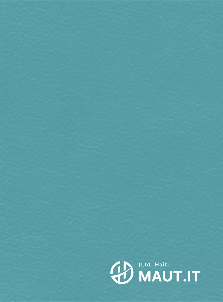 Logo semplice a forma di Haiti, concetto simbolico, pezzo promozionale aziendale