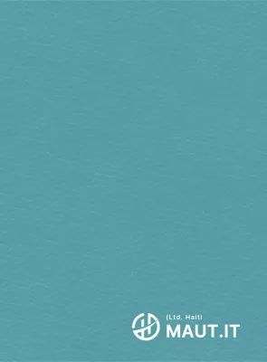 Logo semplice a forma di Haiti, concetto simbolico, pezzo promozionale aziendale