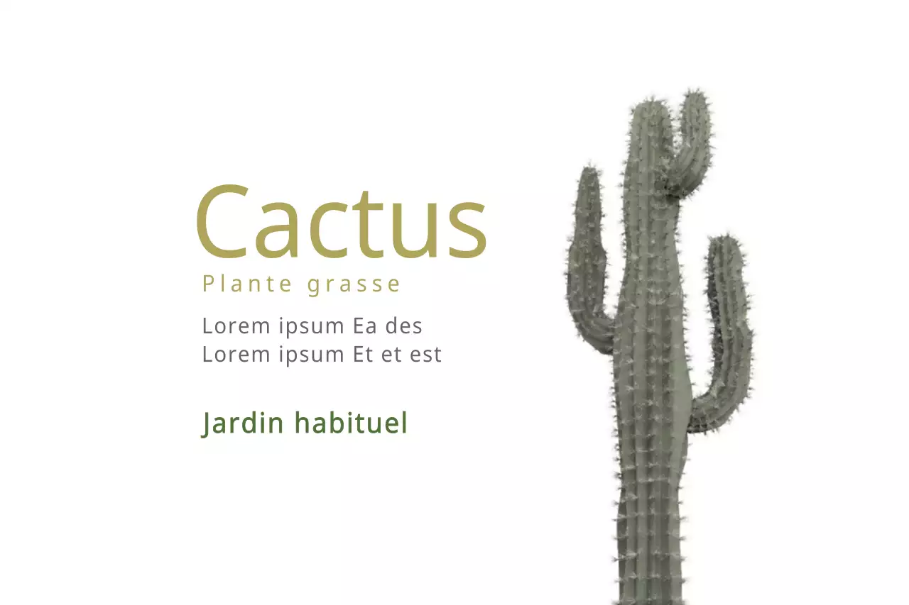 Cactus
