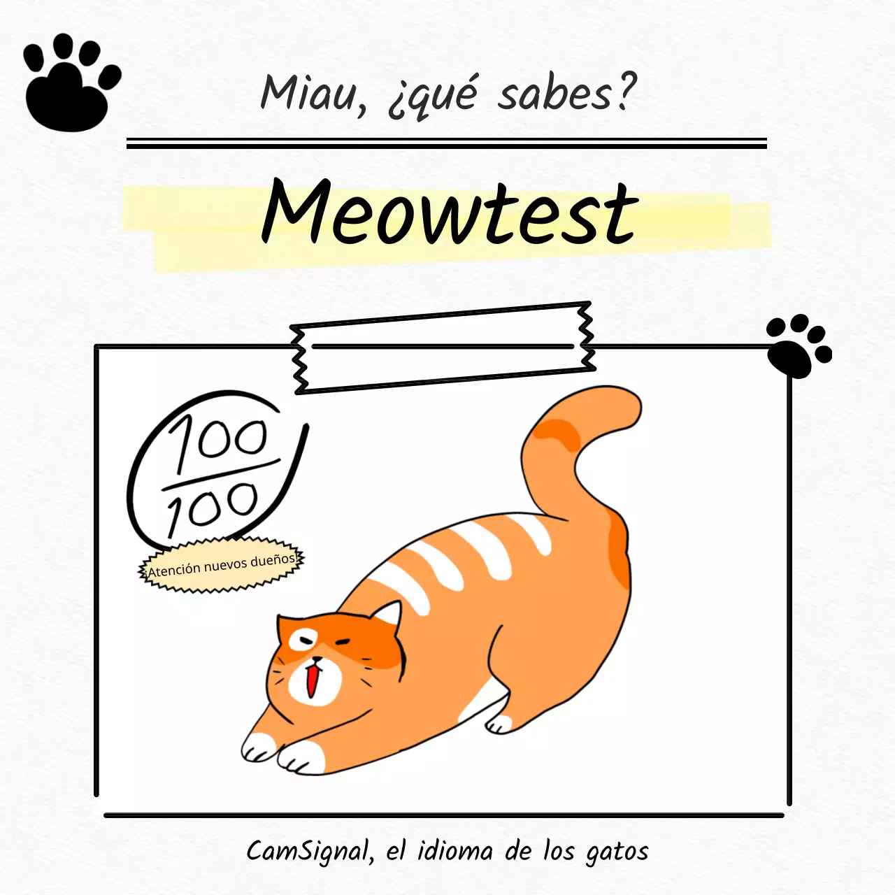 Probar un gato blanco, plano y mono