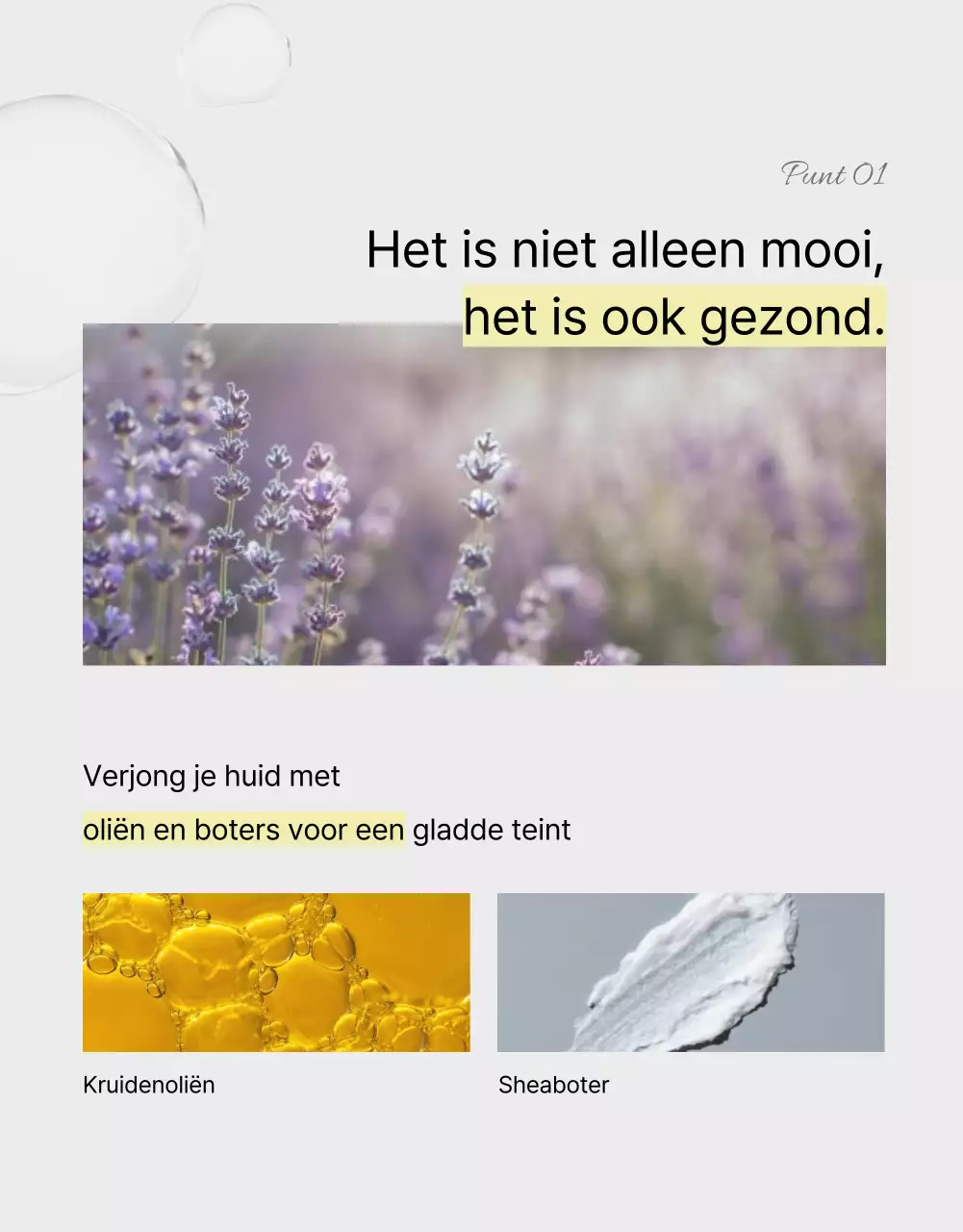 Natuurlijk ogende verkoopspagina voor badbommen met groene palmbomen