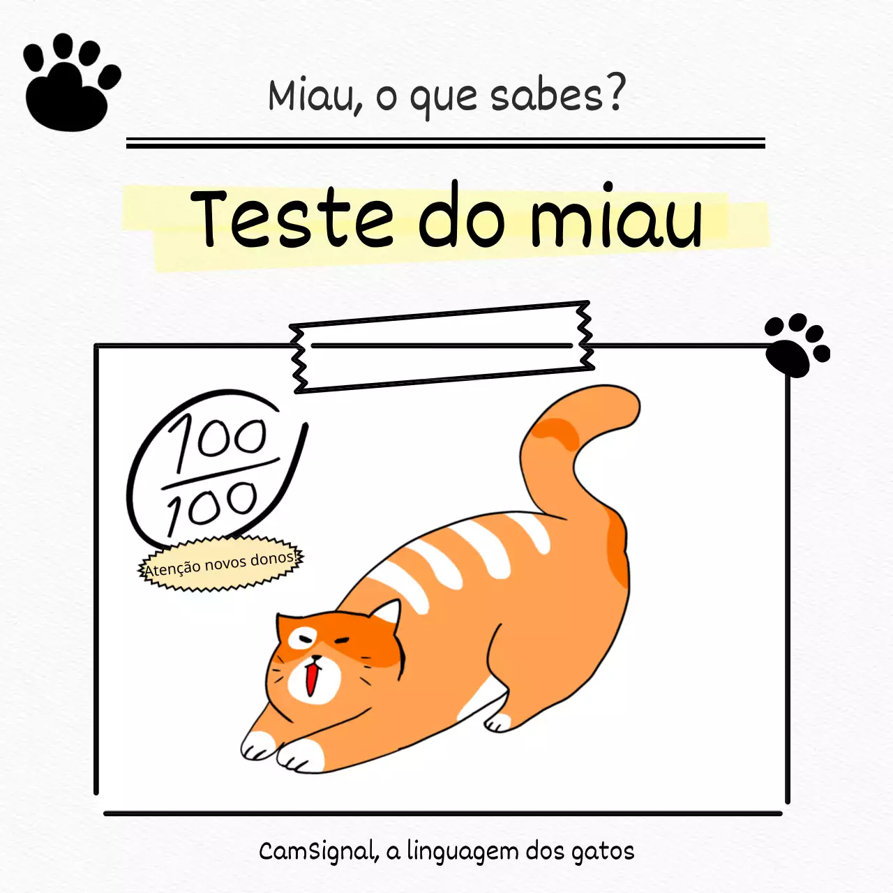 Testar um gato branco, liso e giro