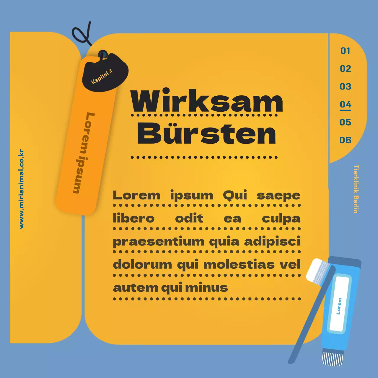 Die Gesundheitsinformationen Ihrer Katze, hervorgehoben durch den gelben Gesundheitsfragebogen.