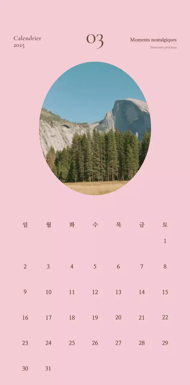 Agenda Vintage kaki Calendrier