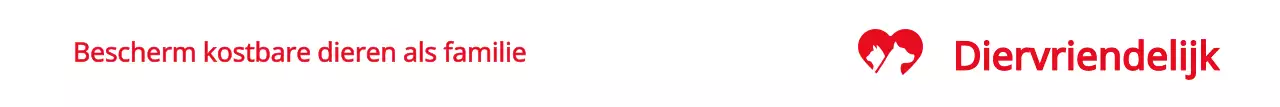 Een evenement promoten met een dierenwelzijnsorganisatie in het rood.