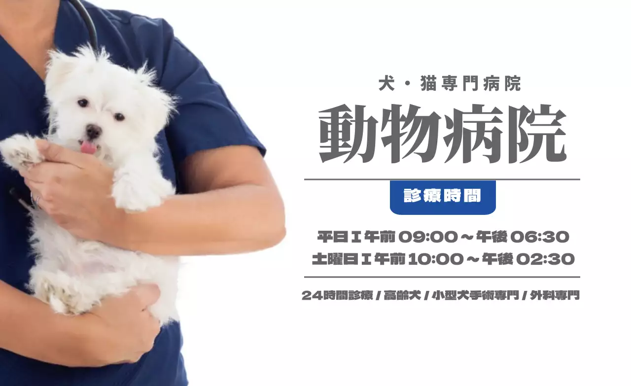 ダークグレーとブルーの写真 動物病院診療時間案内広報