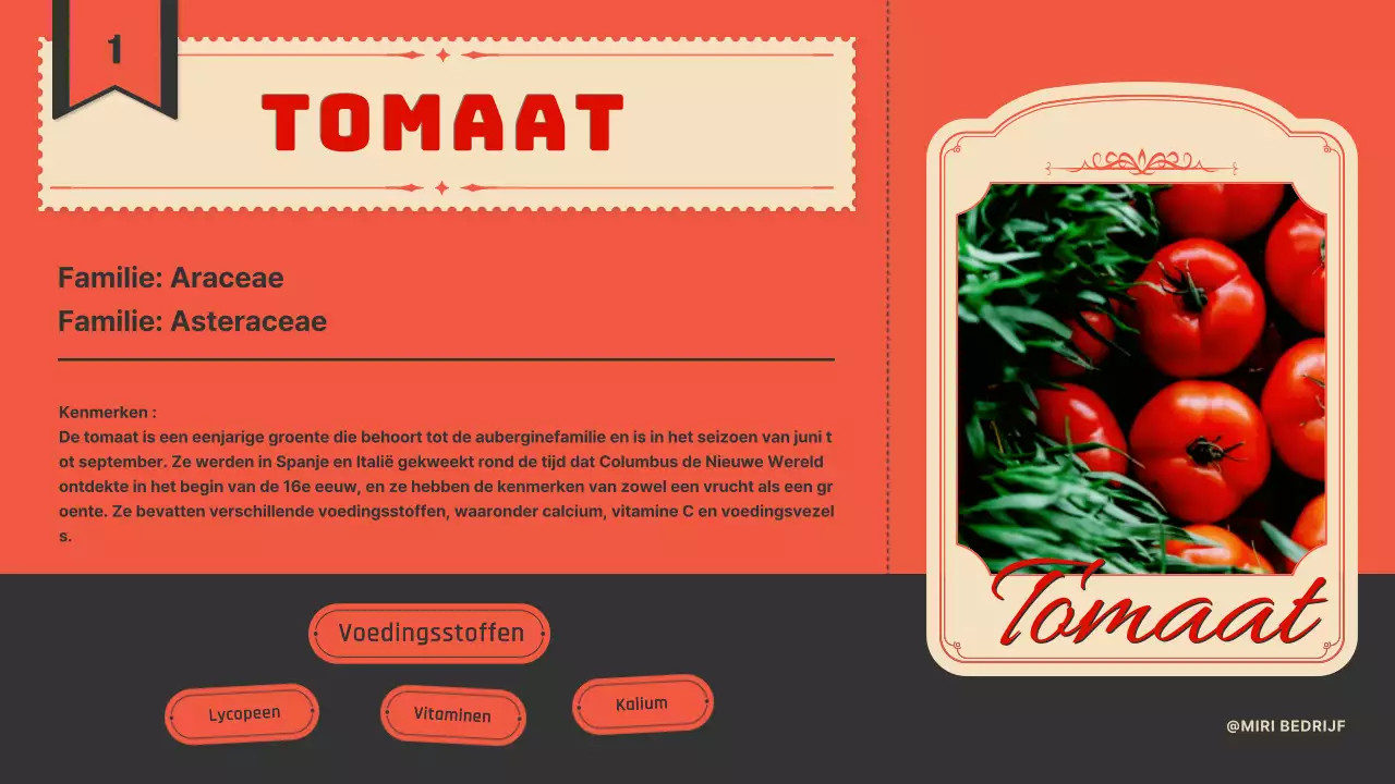 Introductie van tomaten met een vintage labelconcept in oranje en marineblauw