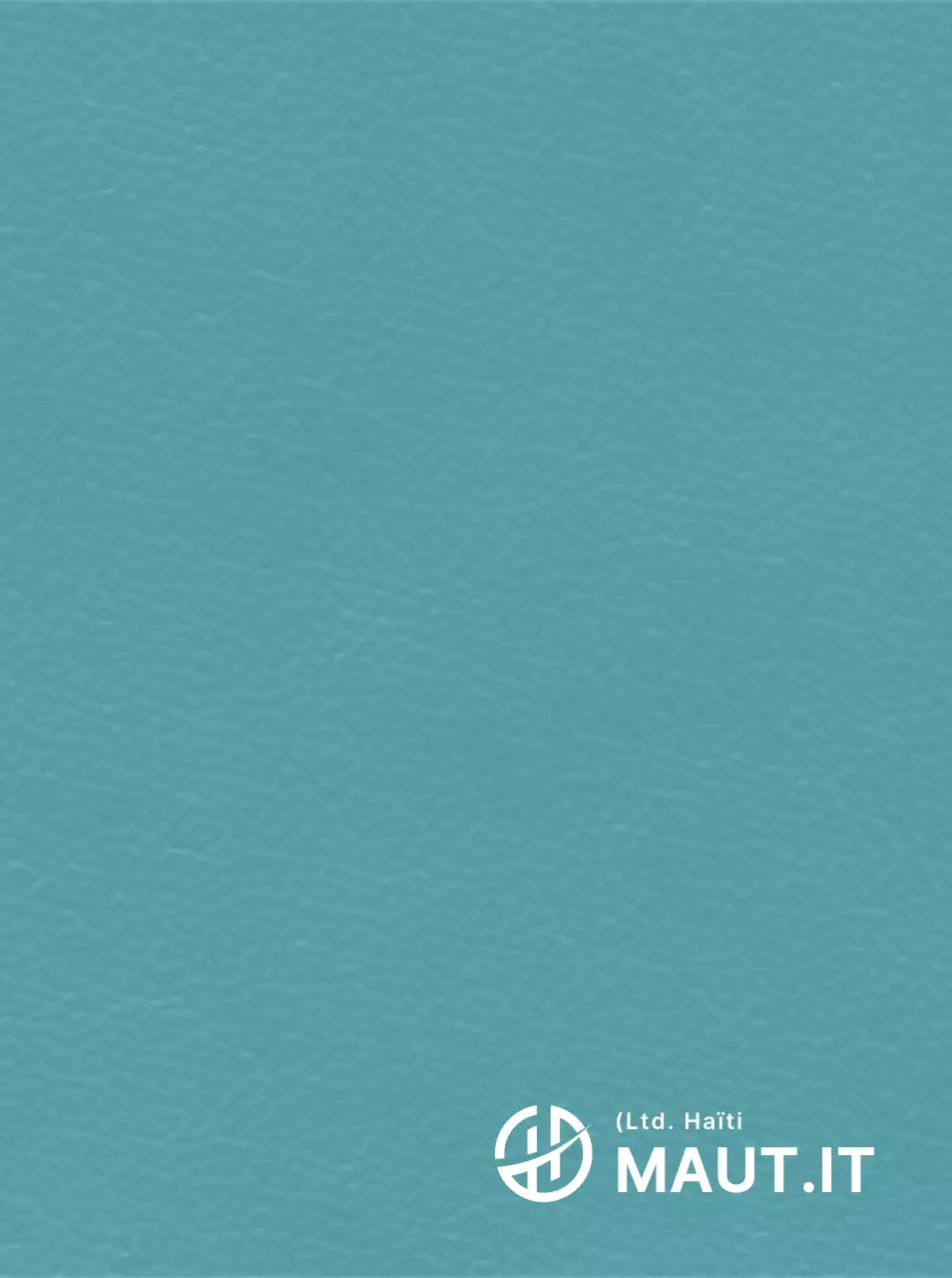 Eenvoudig Haïtiaans logo in de vorm van een symbolisch concept voor bedrijfspromotie