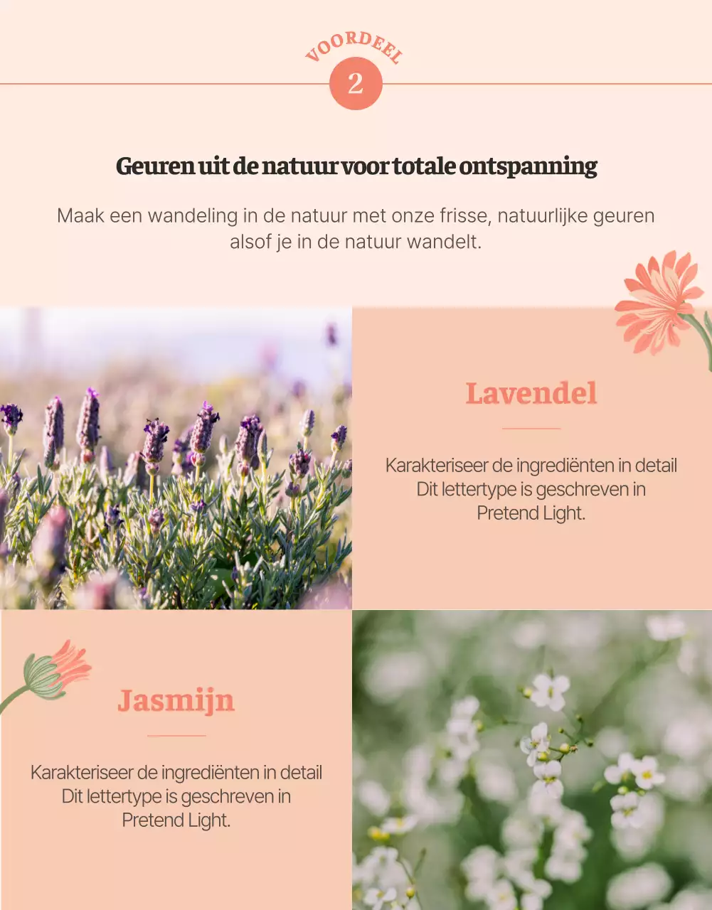 Promoot een body wash met een roze bloemillustratie