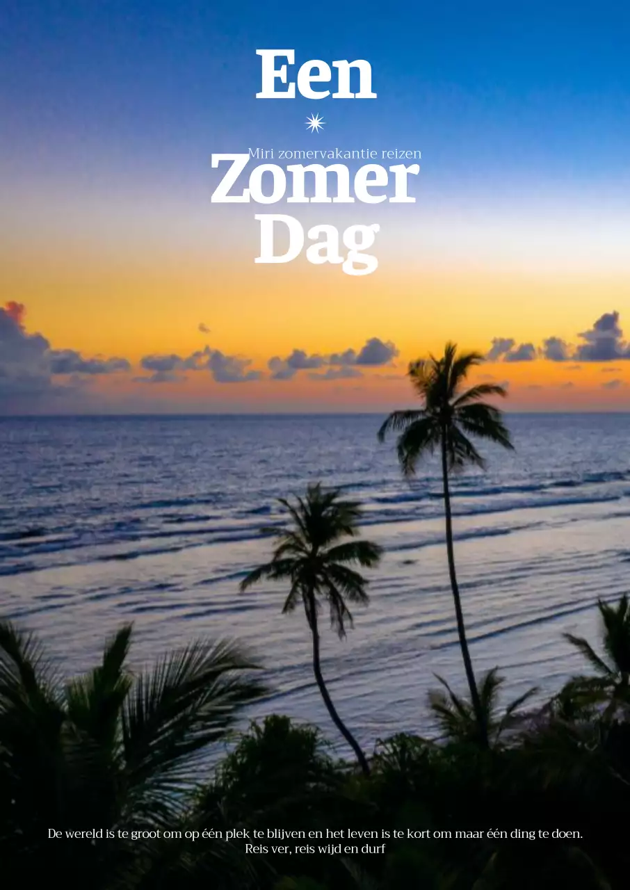 Binnenland van zomerzeepalm met warme zonsondergang hemelachtergrond