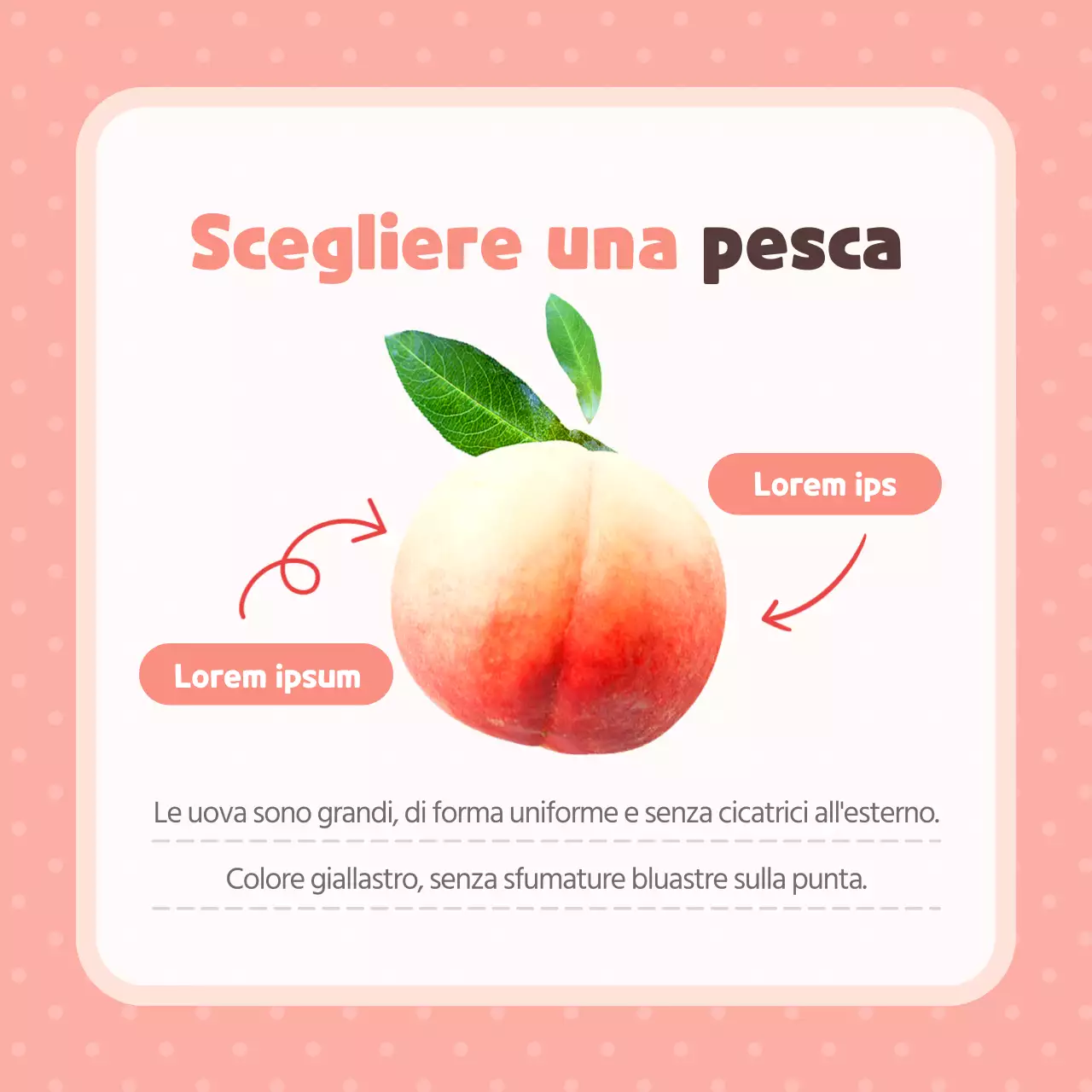 Consigli per scegliere pesche rosa, belle e deliziose