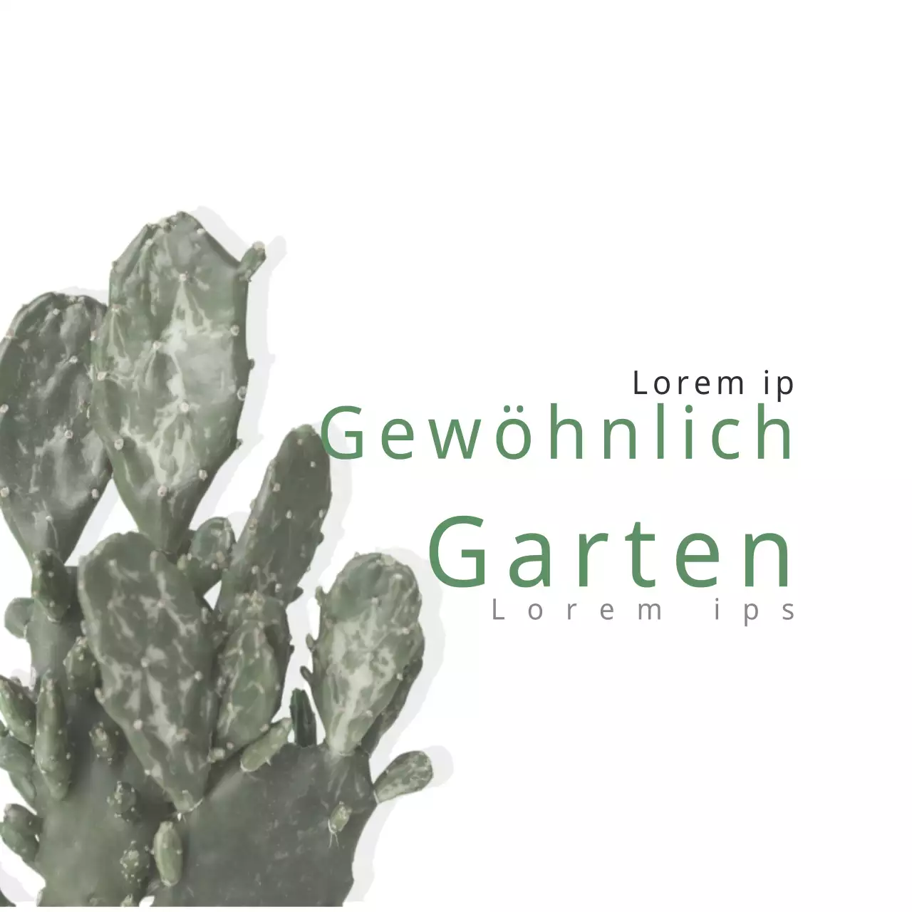 Normaler Garten