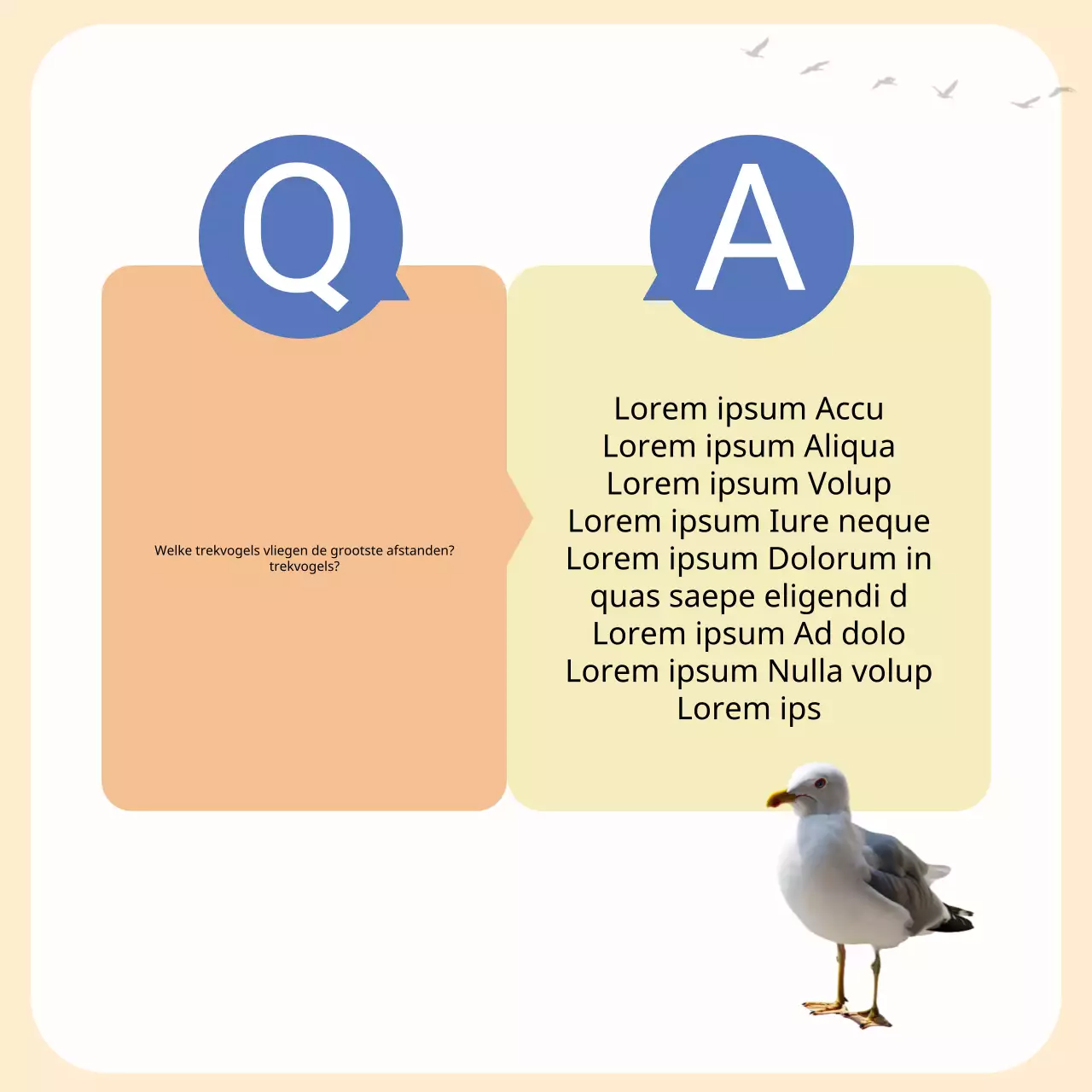 Een eenvoudige gele en oranje trekvogelgids