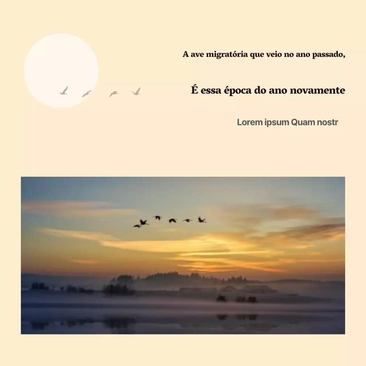 Um guia simples de aves migratórias amarelo e laranja