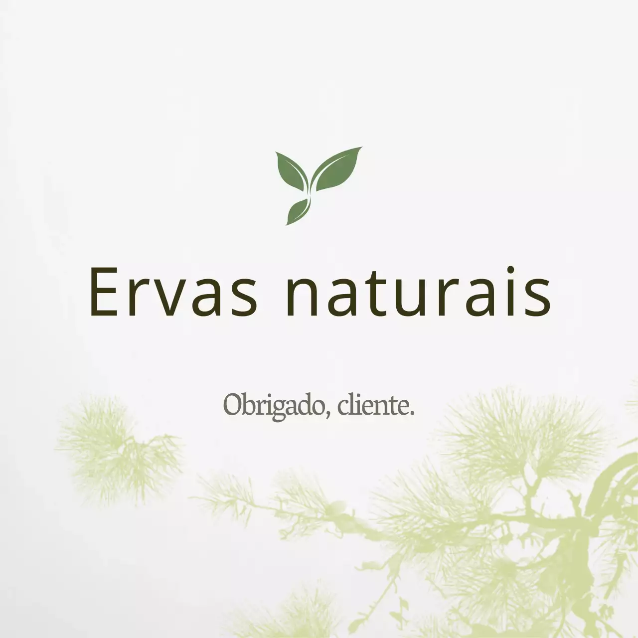 Ervas naturais