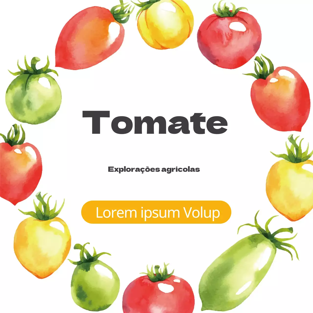 Ilustração laranja aguarela quinta de produtos agrícolas